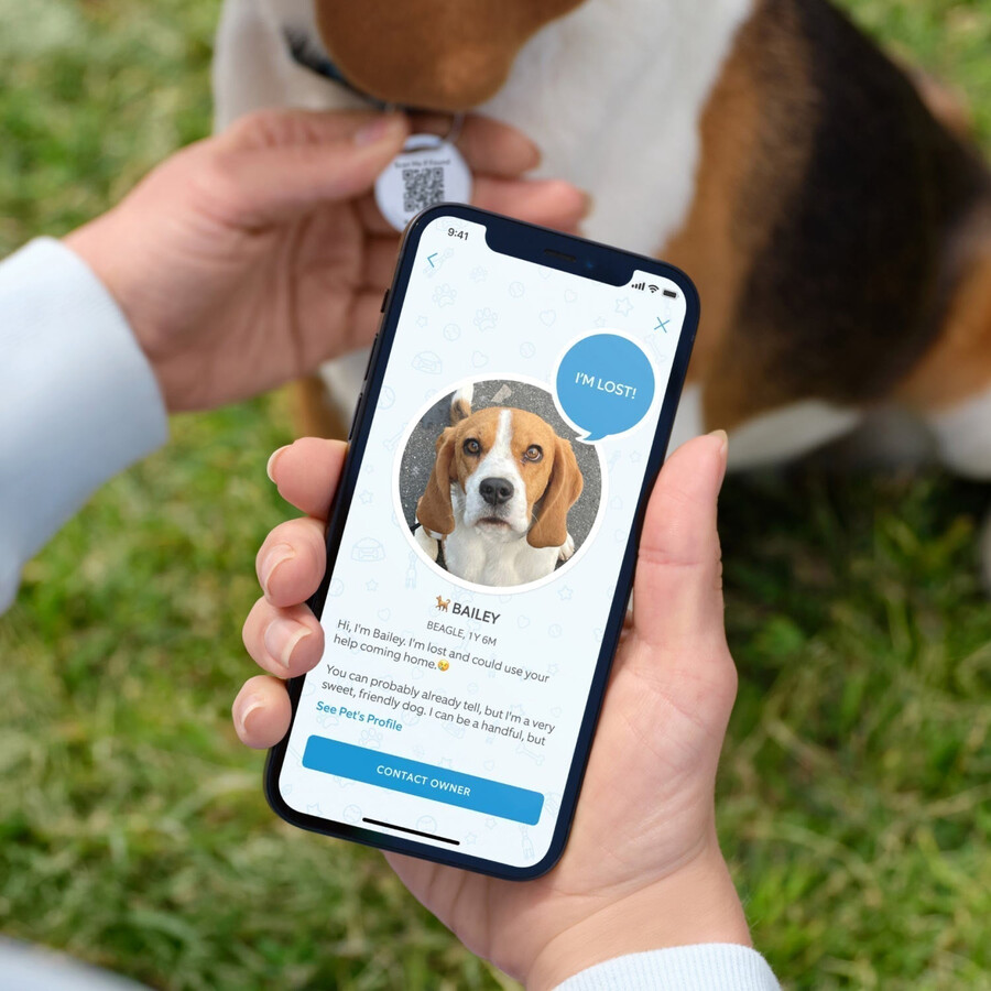 kit com 2 etiquetas de identificação para animais de estimação