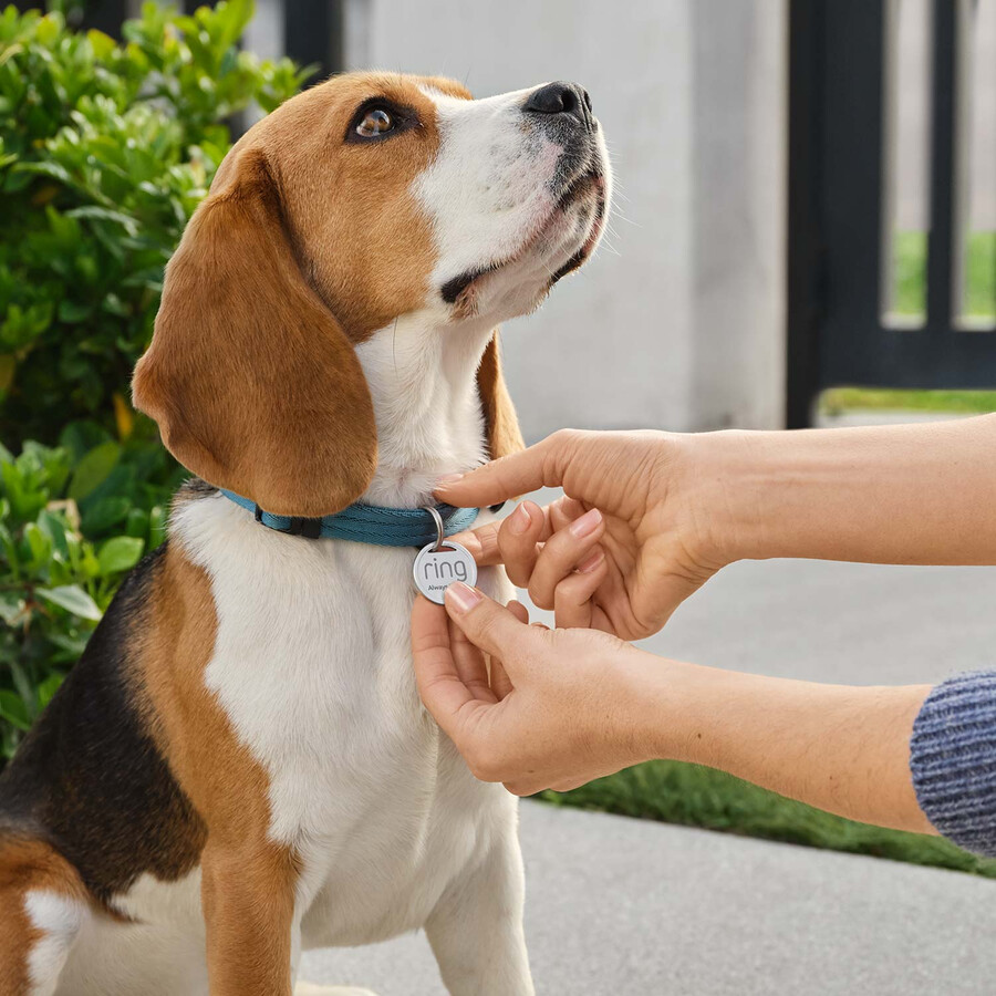 kit de luxo para animais de estimação