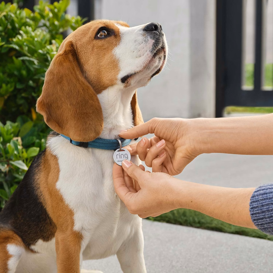 Kit básico para animais de estimação (câmera interna (2ª geração) + Pet Tag)