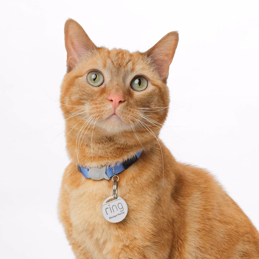 Kit básico para animais de estimação (câmera interna (2ª geração) + Pet Tag)